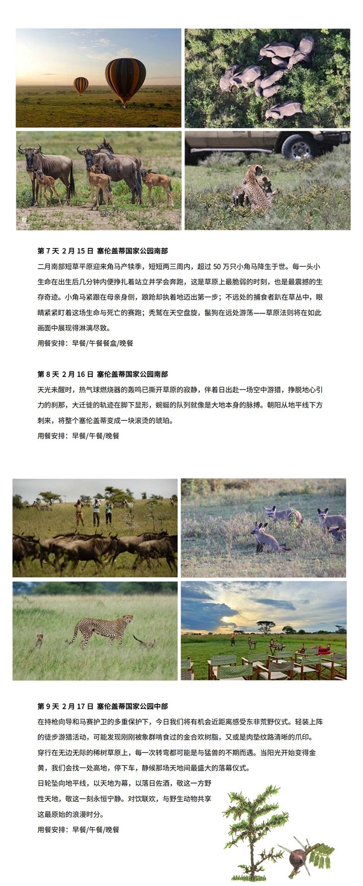 坦桑 行程长图_3.jpg